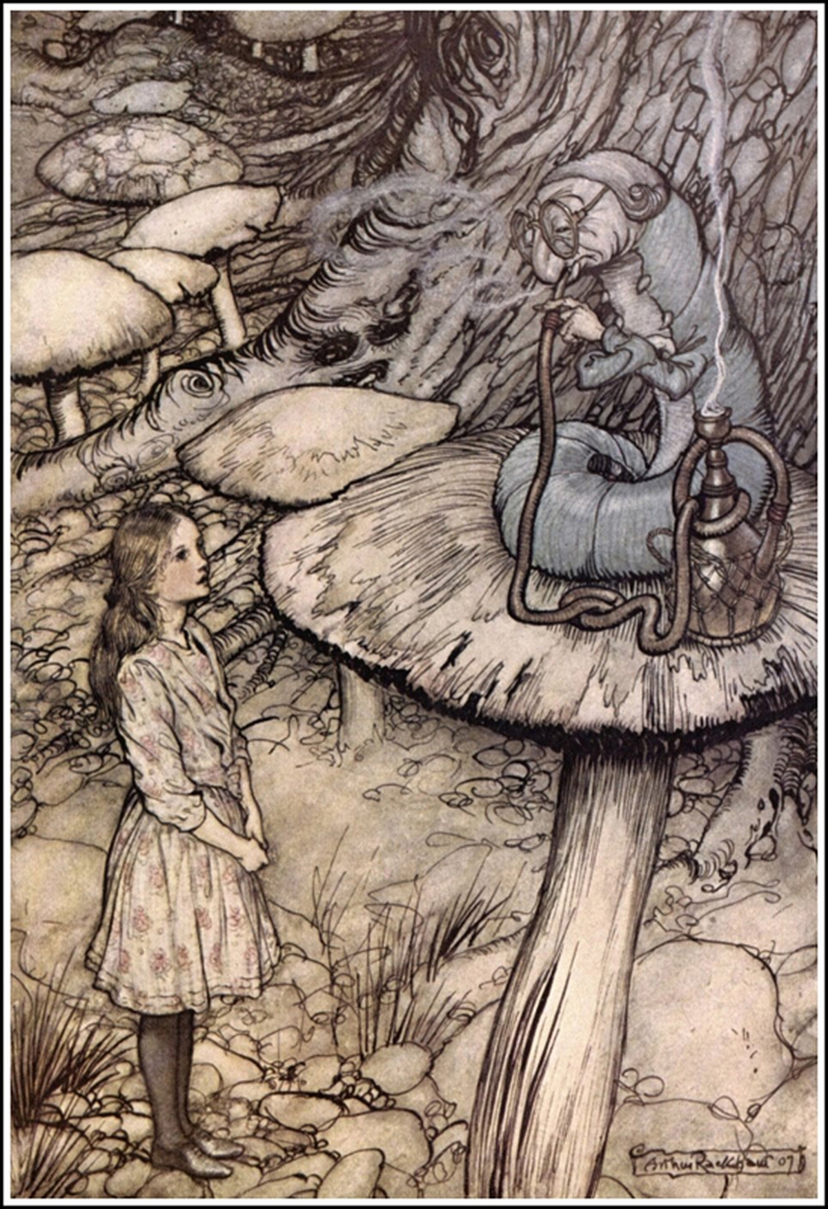 Arthur Rackham Alice In Wonderland Illustrations