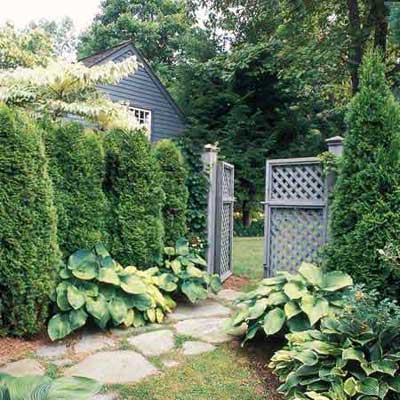 Green Privacy Fence Screen