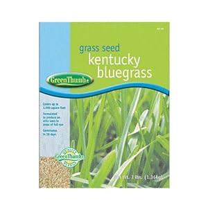 Kentucky Bluegrass Grass Seed Reviews