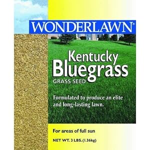Kentucky Bluegrass Grass Seed Reviews