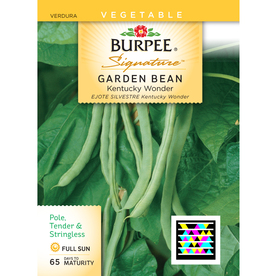 Kentucky Bluegrass Seed Lowes