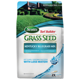 Kentucky Bluegrass Seed Lowes