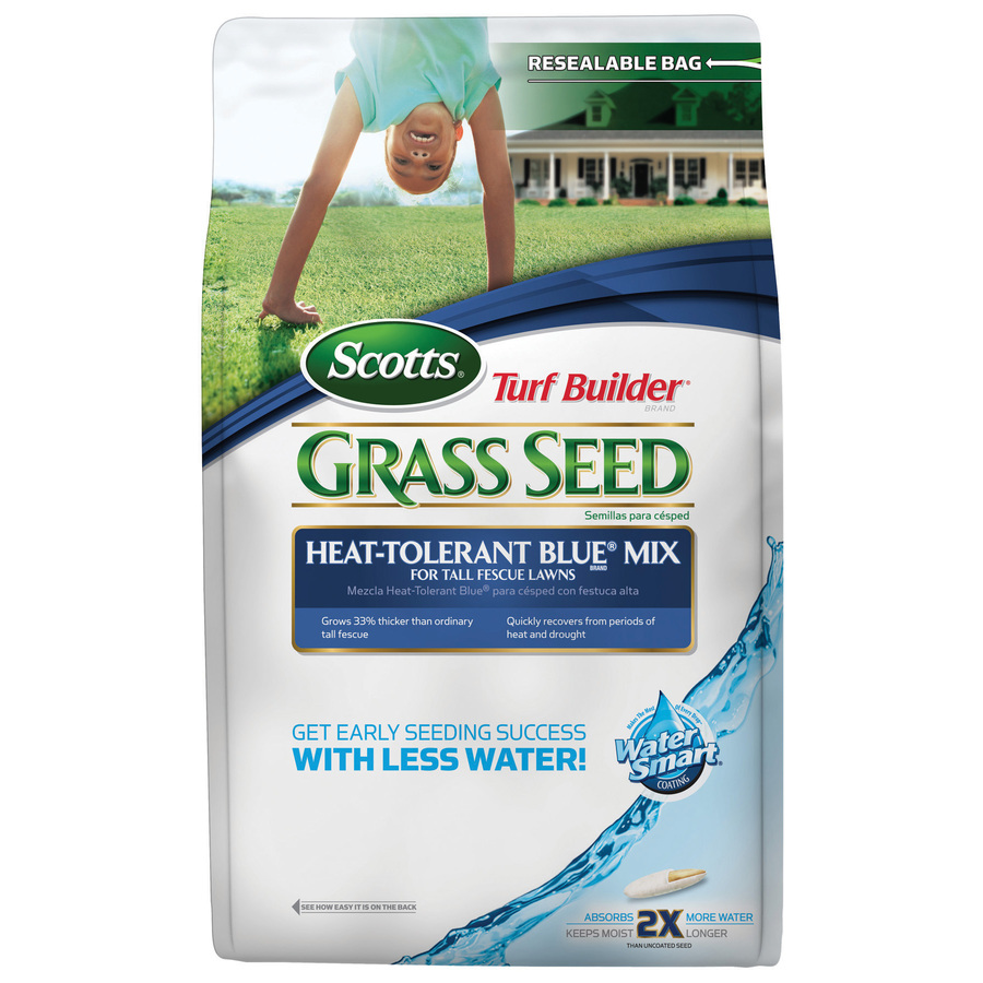 Kentucky Bluegrass Seed Lowes