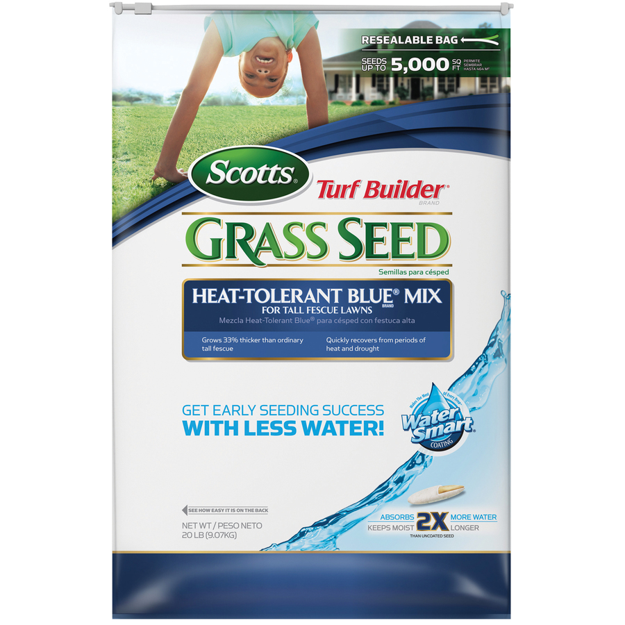 Kentucky Bluegrass Seed Lowes