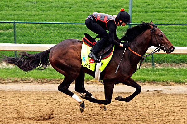 Kentucky Derby 2013 Horses