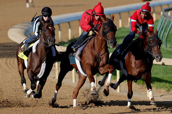 Kentucky Derby 2013 Horses
