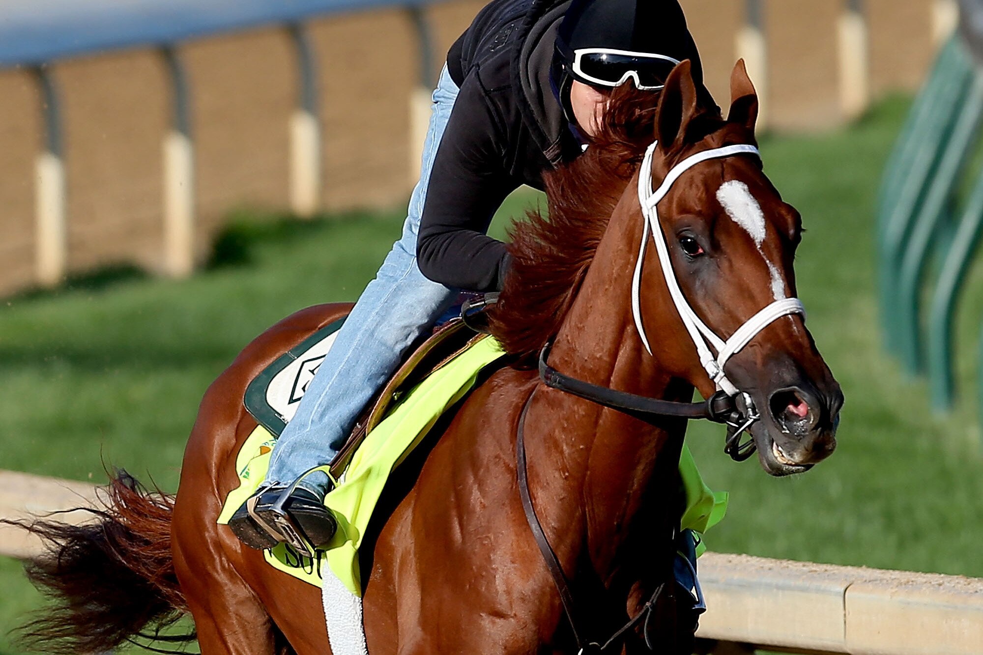 Kentucky Derby 2013 Horses And Jockeys