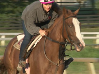 Kentucky Derby 2013 Horses And Jockeys