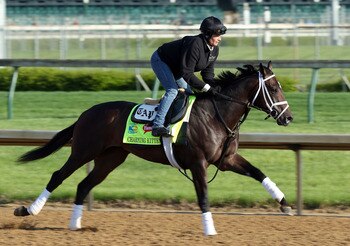Kentucky Derby 2013 Horses List
