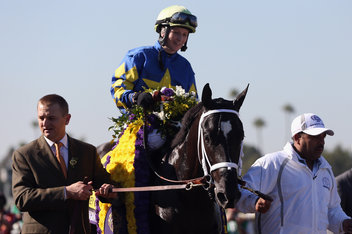 Kentucky Derby 2013 Horses List