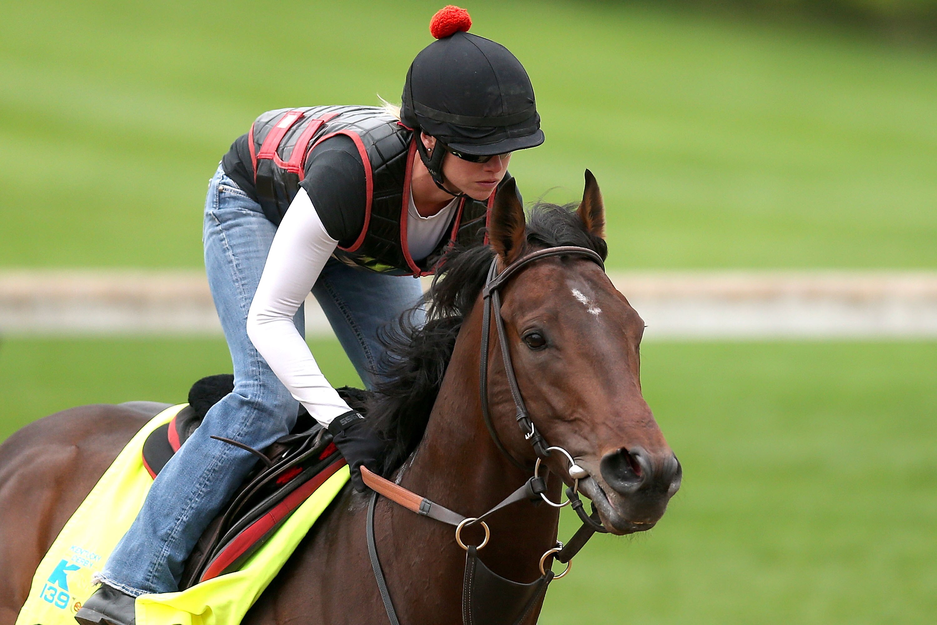 Kentucky Derby 2013 Horses Names