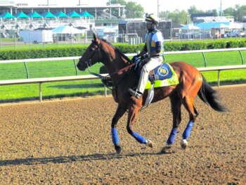 Kentucky Derby 2013 Horses Names