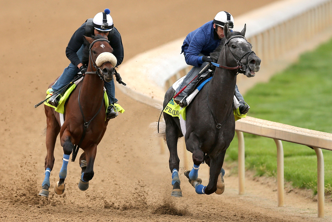 Kentucky Derby 2013 Horses Names