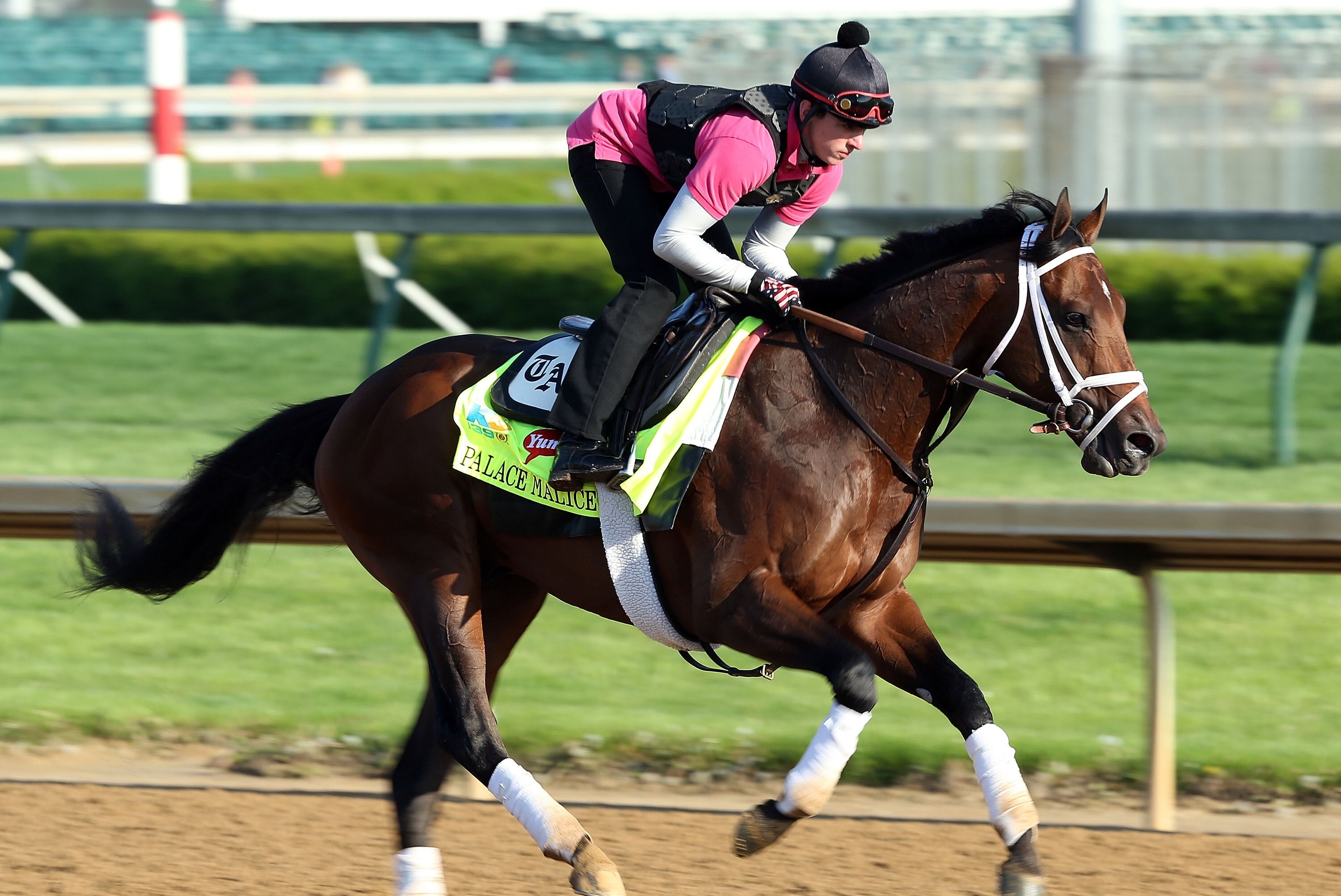 Kentucky Derby 2013 Horses Names