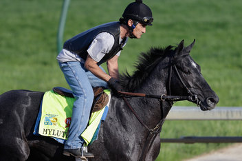 Kentucky Derby 2013 Horses Names