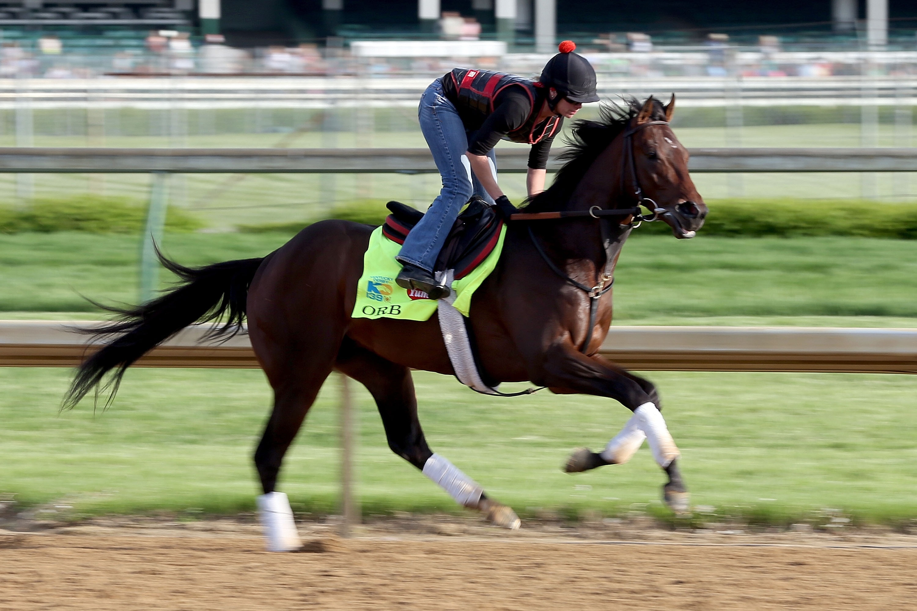 Kentucky Derby 2013 Horses Odds