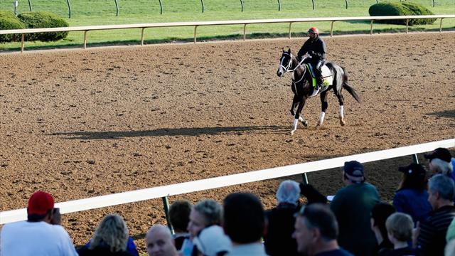 Kentucky Derby 2013 Horses Post Positions