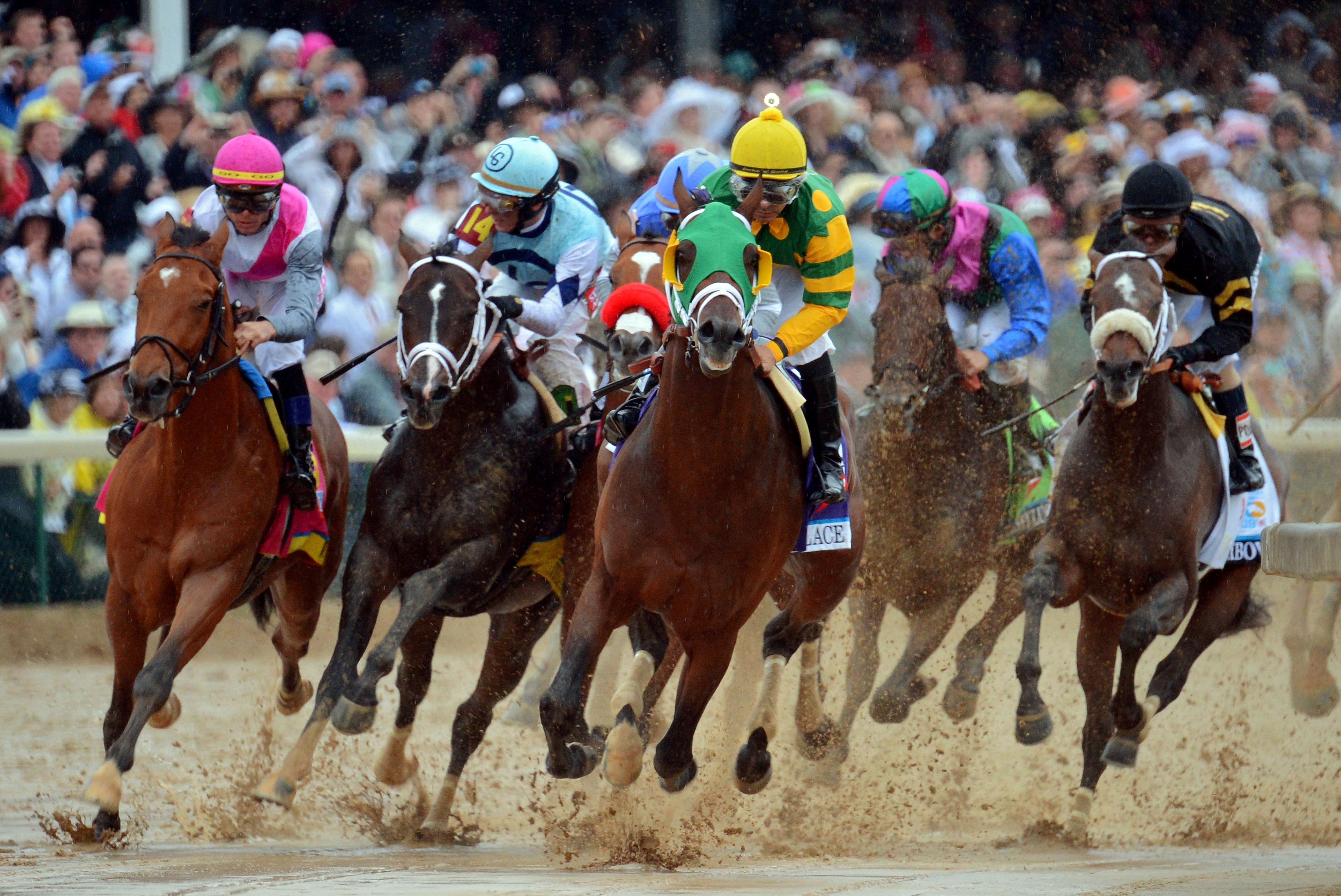 Kentucky Derby 2013 Horses Results