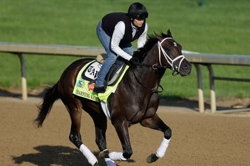Kentucky Derby 2013 Horses Running