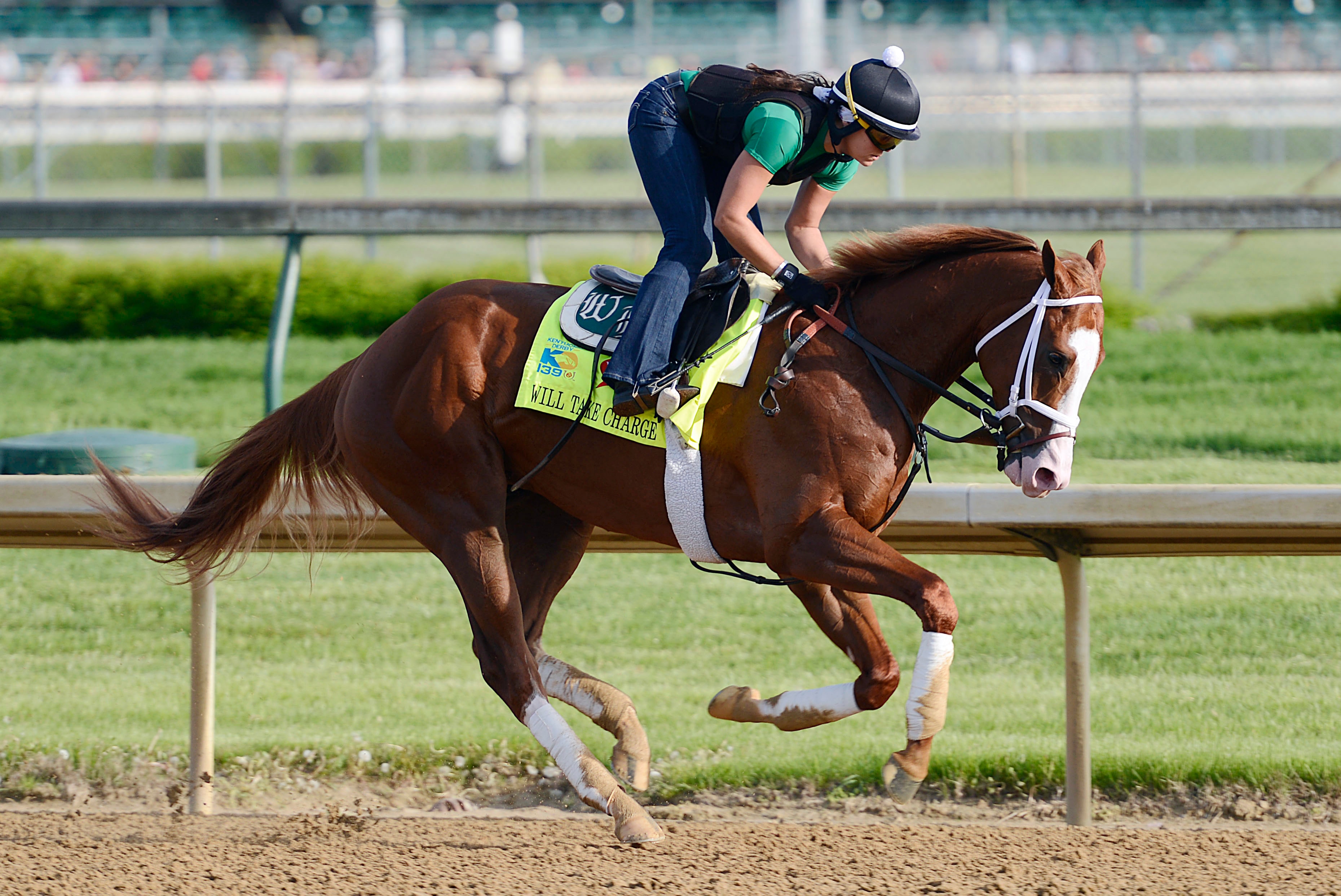 Kentucky Derby 2013 Horses Stats