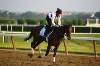 Kentucky Derby 2013 Orb Odds