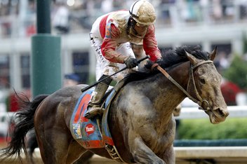 Kentucky Derby 2013 Orb Odds