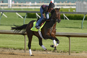 Kentucky Derby 2013 Orb Odds