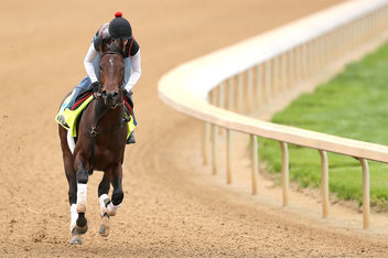 Kentucky Derby 2013 Orb Odds