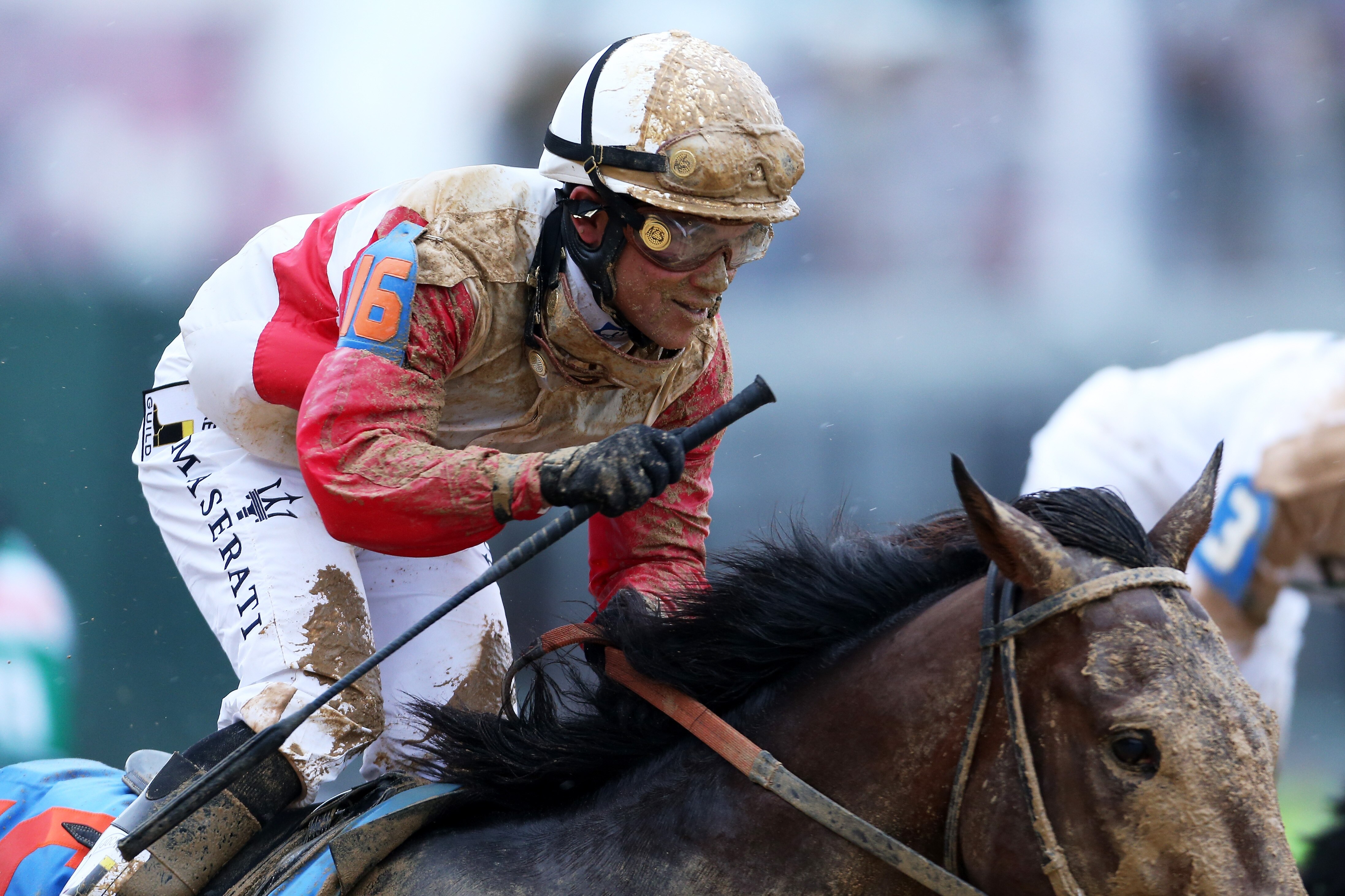 Kentucky Derby 2013 Orb Odds
