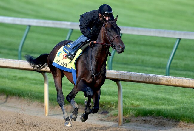 Kentucky Derby 2013 Orb Odds