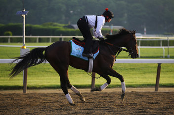 Kentucky Derby 2013 Orb Odds