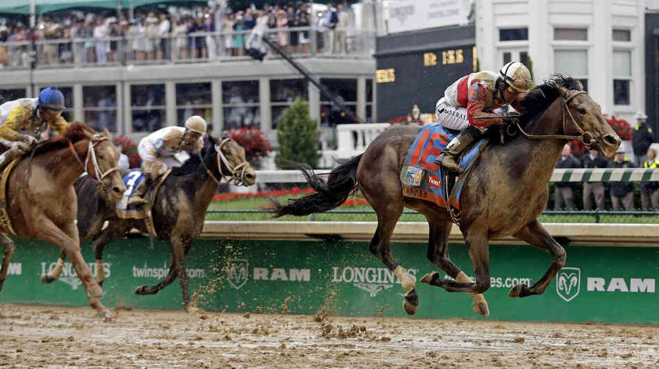 Kentucky Derby 2013 Orb Odds