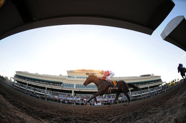 Kentucky Derby 2013 Orb Stable