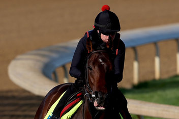 Kentucky Derby 2013 Orb Stable