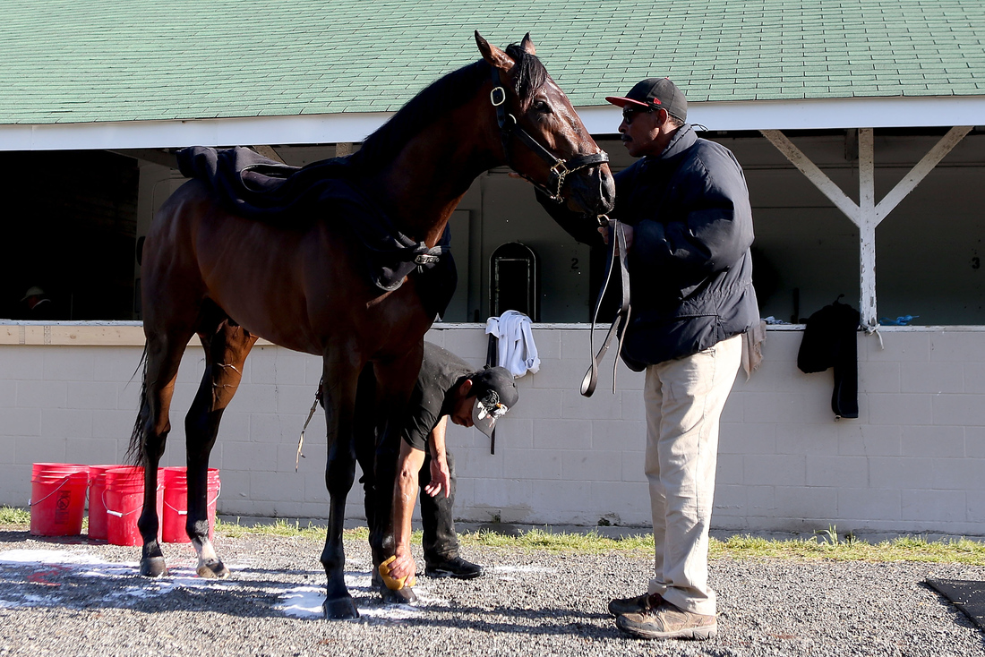 Kentucky Derby 2013 Orb Stable