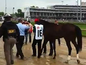 Kentucky Derby 2013 Orb Video