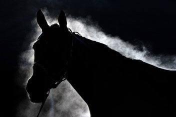 Kentucky Derby 2013 Pictures