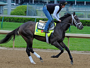 Kentucky Derby 2013 Results Charming Kitten