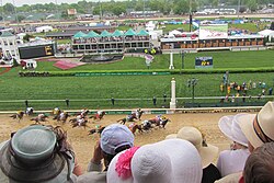 Kentucky Derby 2013 Results Wiki