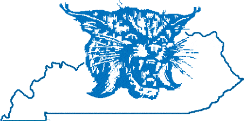 Kentucky Wildcats Logo History