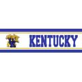 Kentucky Wildcats Wallpaper Border