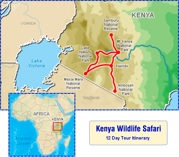 Kenya Safari Tours From Dubai