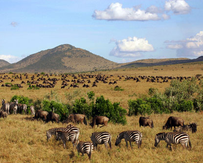 Kenya Safari Tours Masai Mara