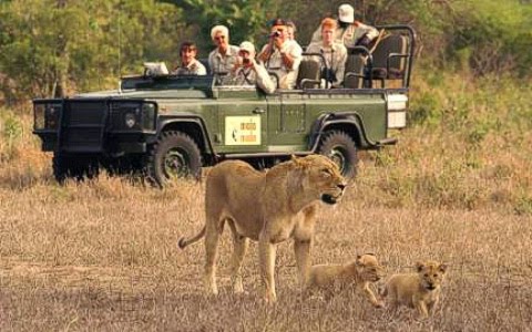 Kenya Safari Tours Price