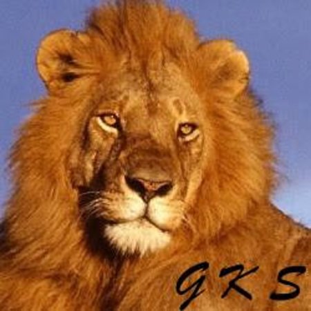 Kenya Safari Tours Tripadvisor
