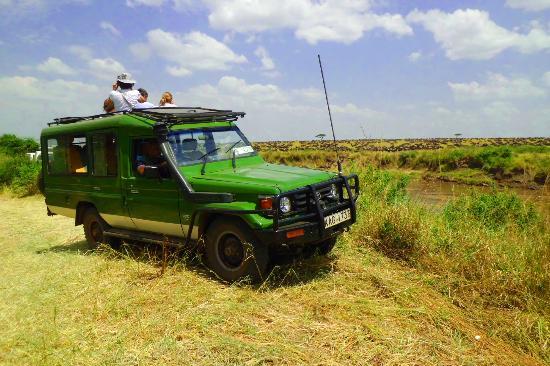 Kenya Safari Tours Tripadvisor