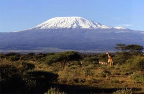 Kenya Safari Tours Tripadvisor