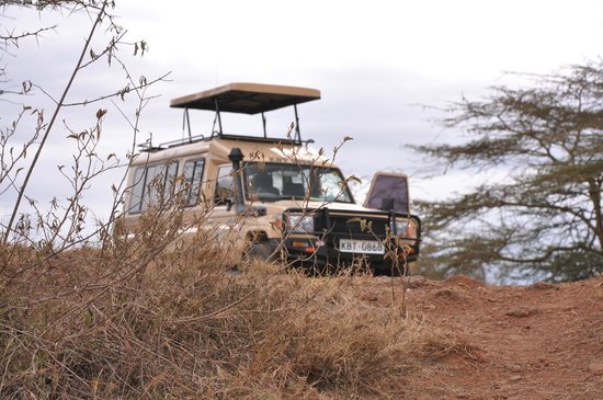 Kenya Safari Tours Tripadvisor