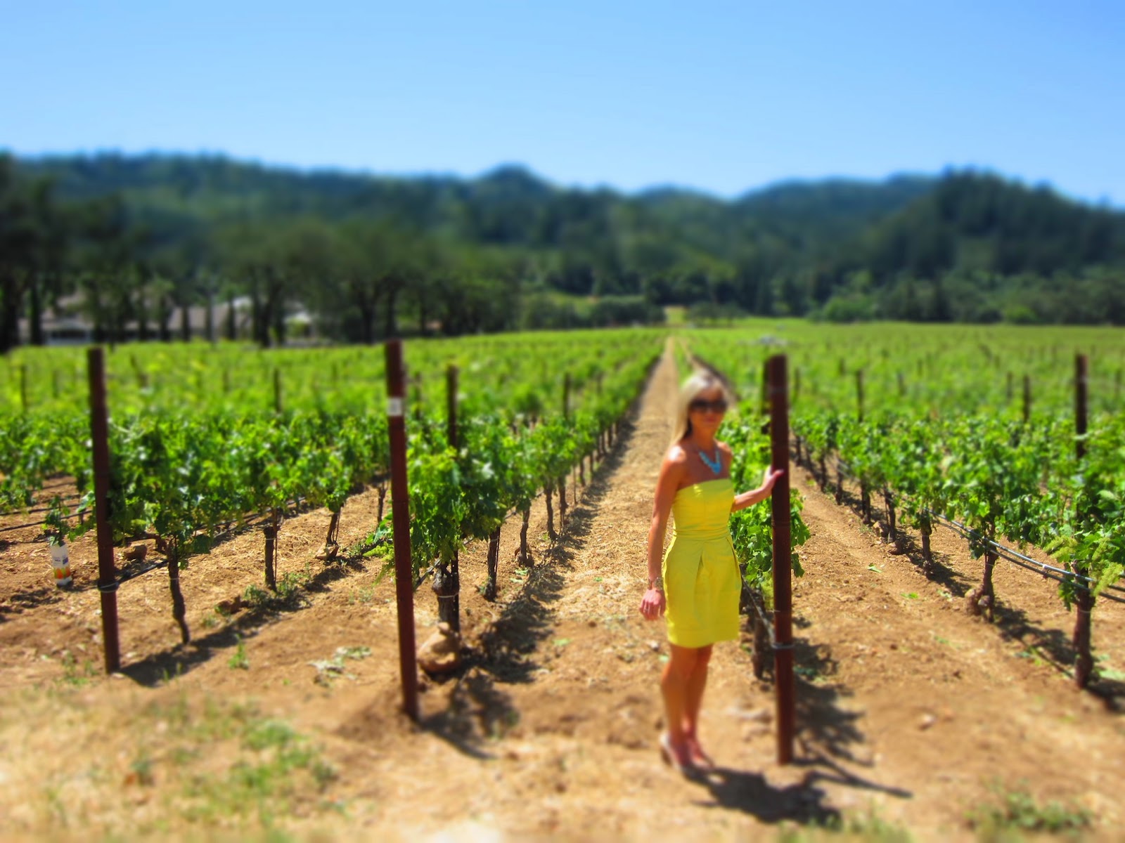 Most Beautiful Wineries In Napa Valley