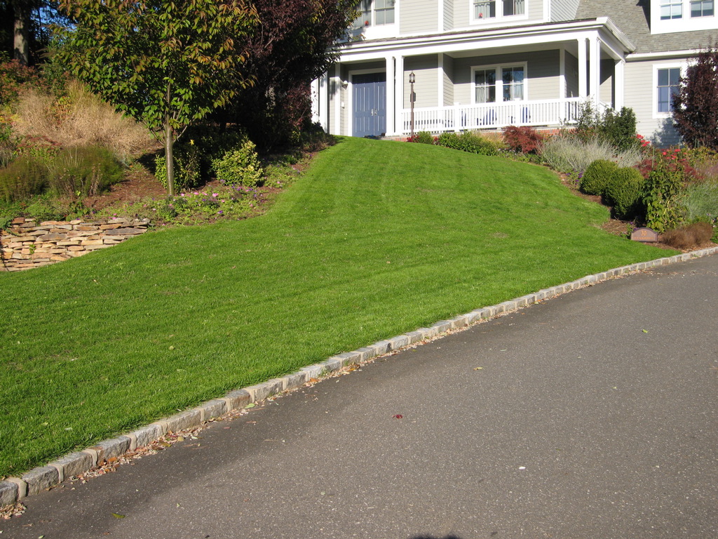 Pictures Of Kentucky Bluegrass Lawns